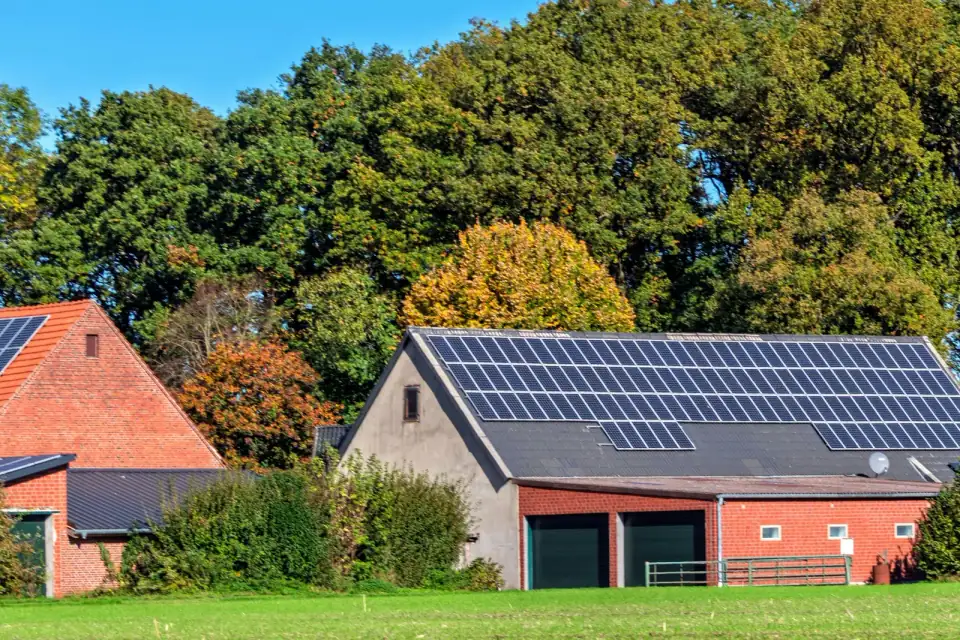 Een boerenschuur met een dak vol zonnepanelen naast een bakstenen boerderij, met herfstbomen en een weiland ervoor