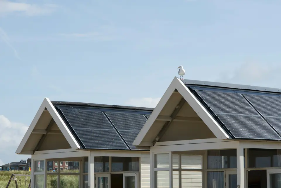 Twee witte houten huisjes met puntdaken vol zwarte zonnepanelen, met een meeuw op de nok